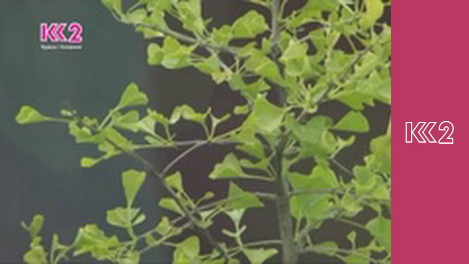 Квадратний метр E75