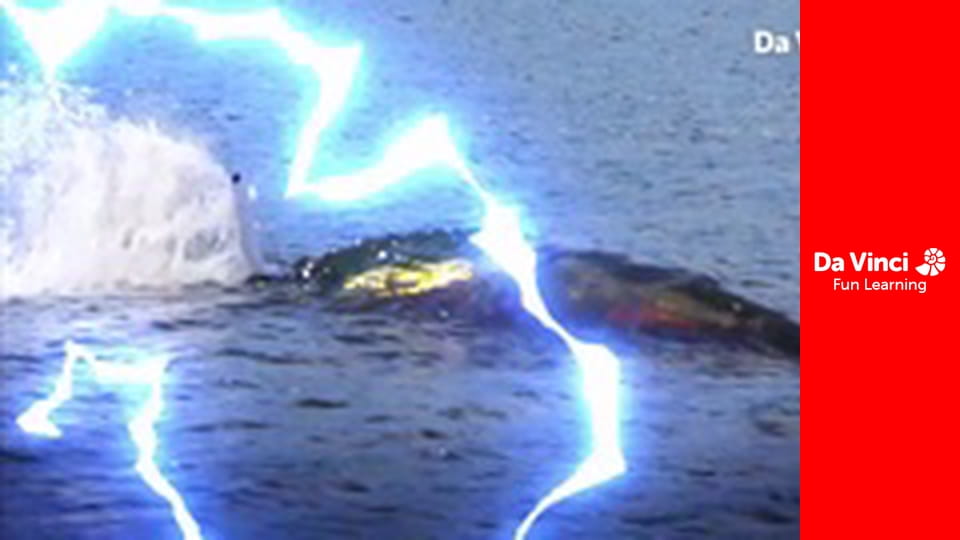 Винаходи - Майстер собачої їжі