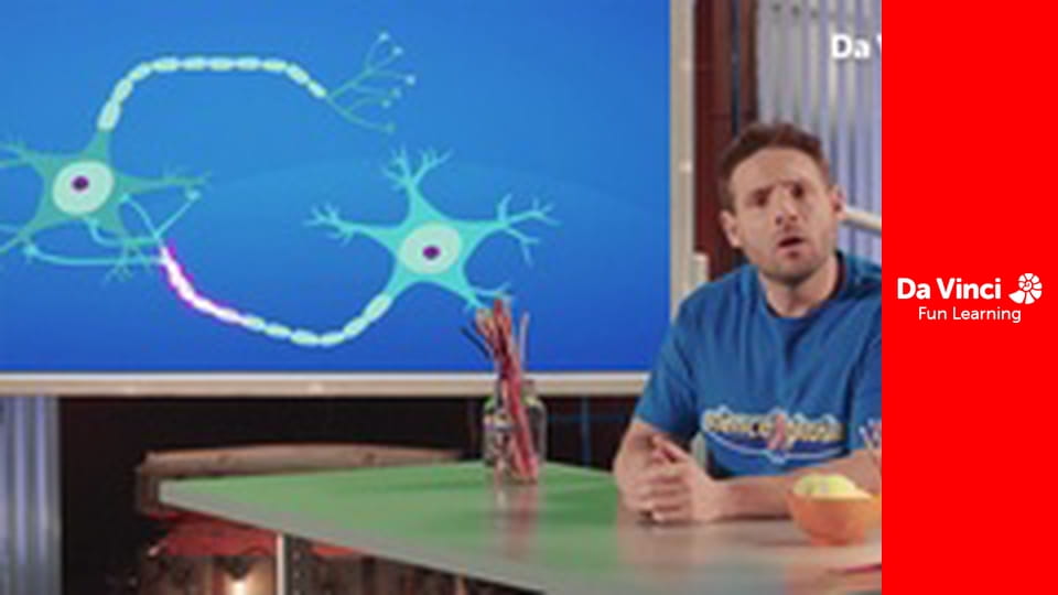 Вибухова наука - Нейрони, нейрони, нейрони!