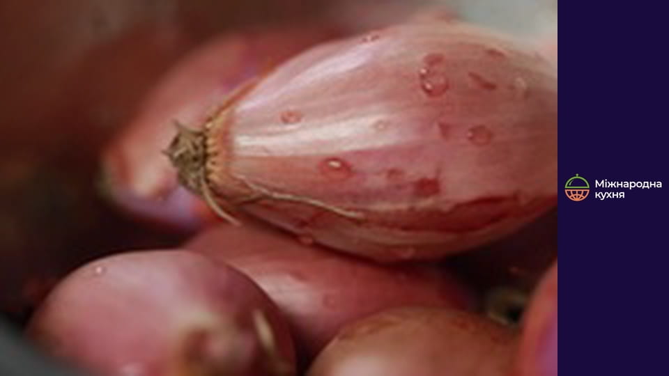 Т/с " Chile Ohm nom" season 1 series 1