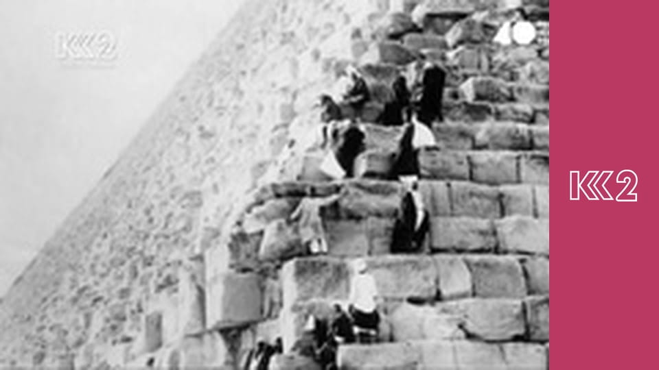 Удачний проект S3E19