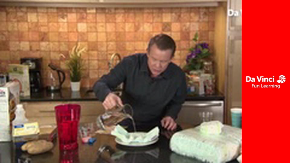 Исследование: «Наука на дому» - Наука из супермаркета