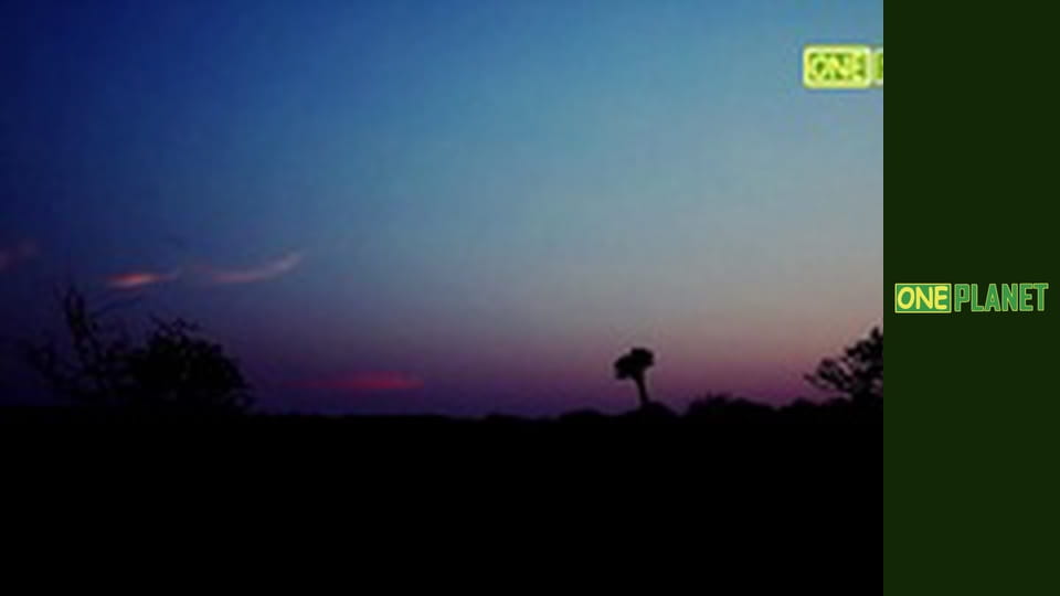 Экстрим для чайников, 6 эп.