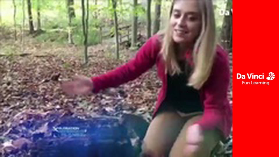 Дослідження: «Дивовижна планета» - Студент-дослідник