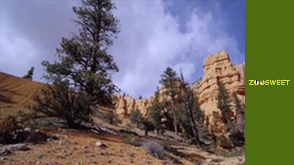 Світ дикої природи - серія 12