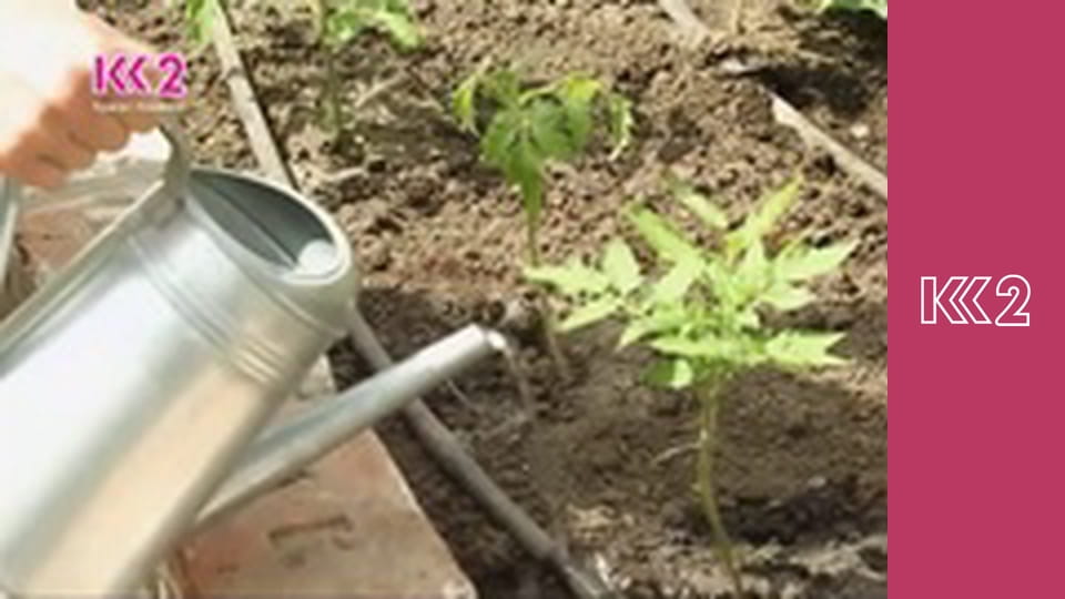 Удачний проект S4E32