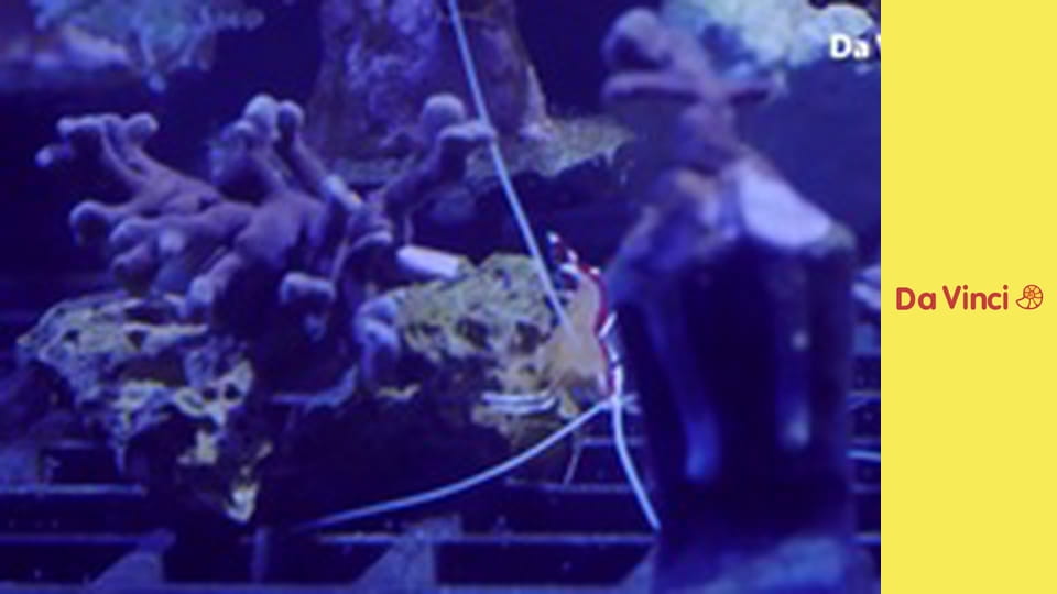 Футуріс. Контроль морського забруднення.