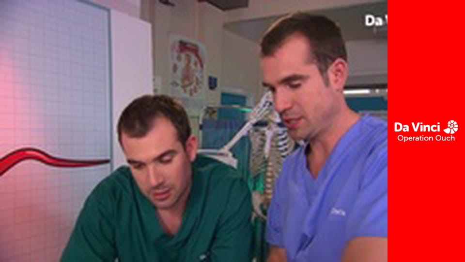 Ойтастика! -  Травлення