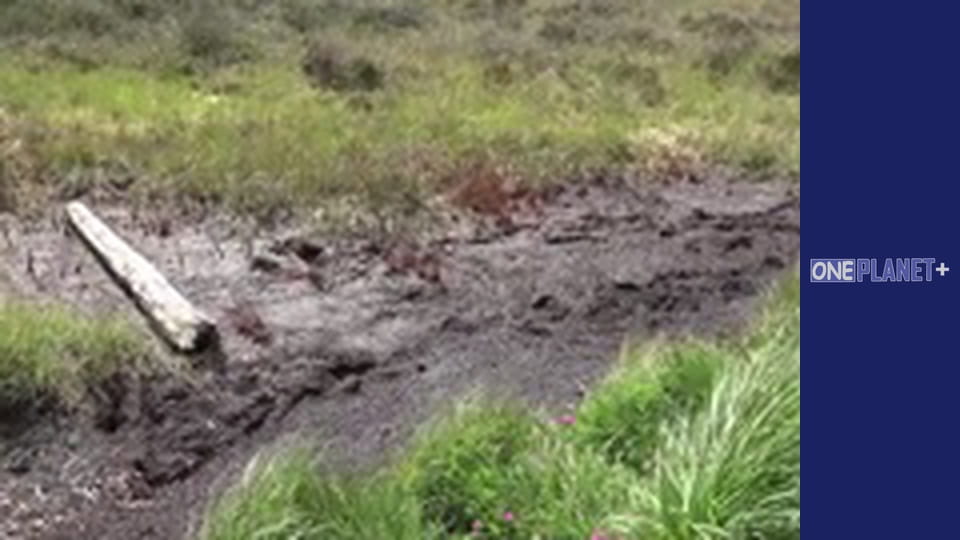 Элементы, Сезон 1, Выпуск 8