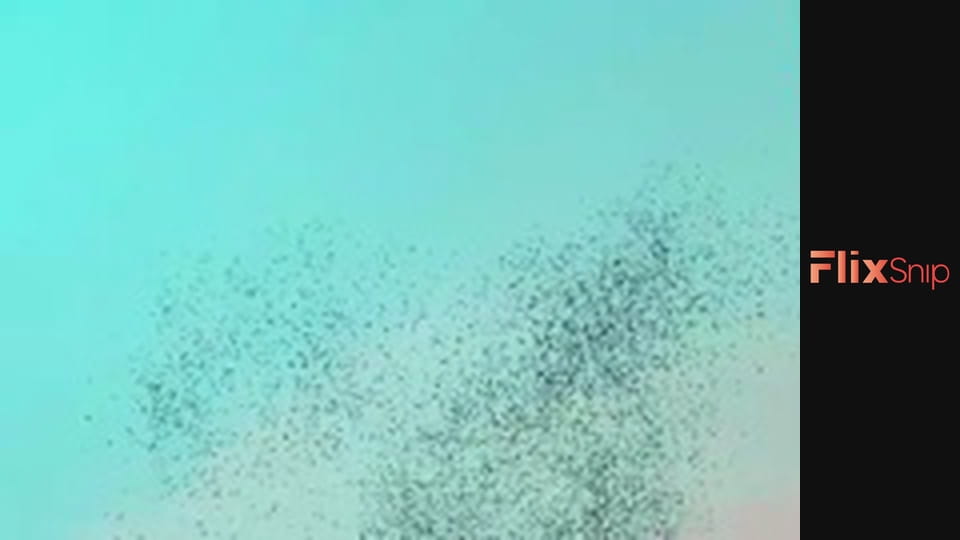 Возз'єднання