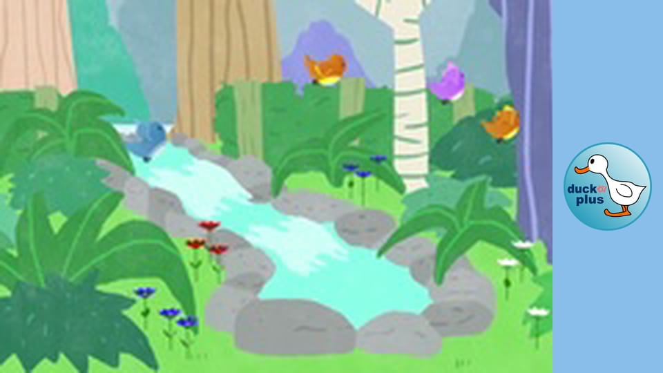 Sounds Around Us - Walk In The Forest