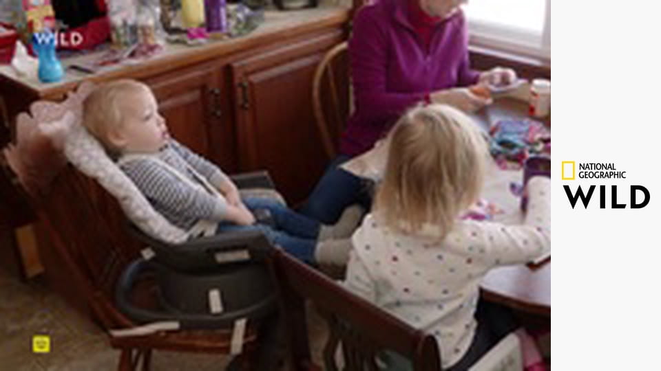 Невероятный доктор Пол S23E8