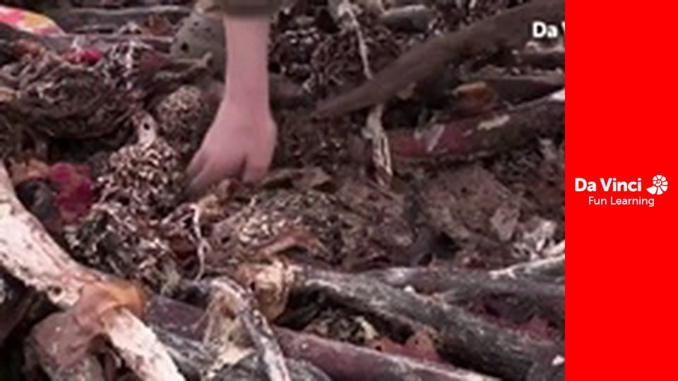 Сіяя - Рушайте з нами - Під водою