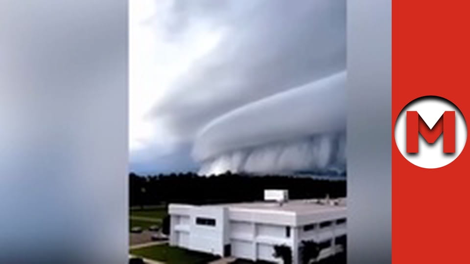 Max TV - сезон 4 - серія 103