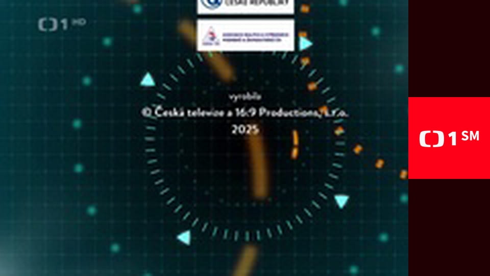 Všechny velké a malé bytosti - Párová vazba