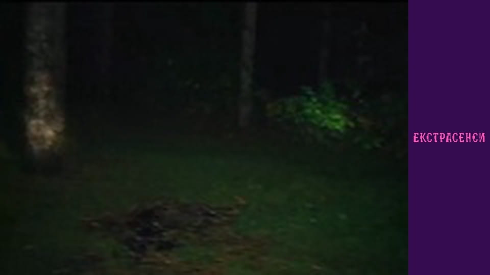 Сезон 16, Выпуск 3, Часть 2