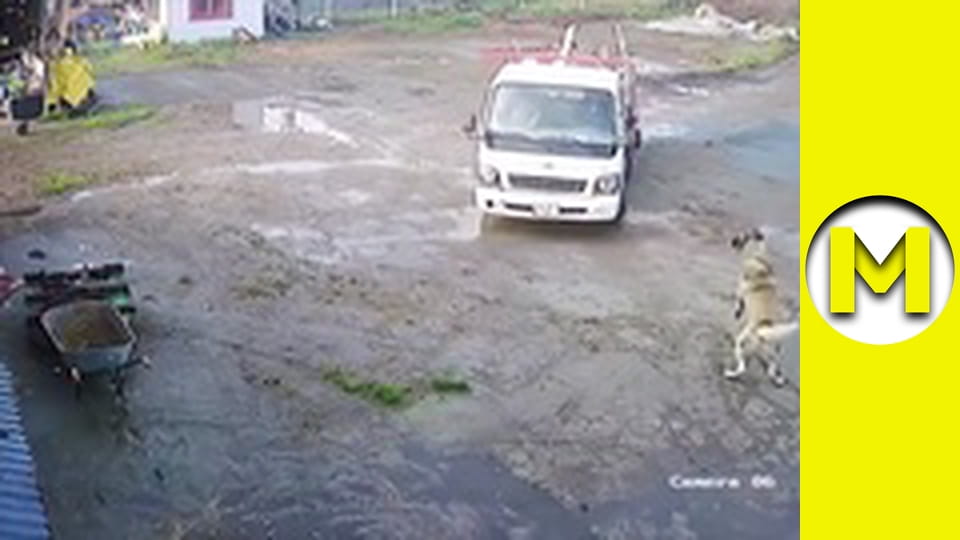 Max TV - сезон 1 - серія 80