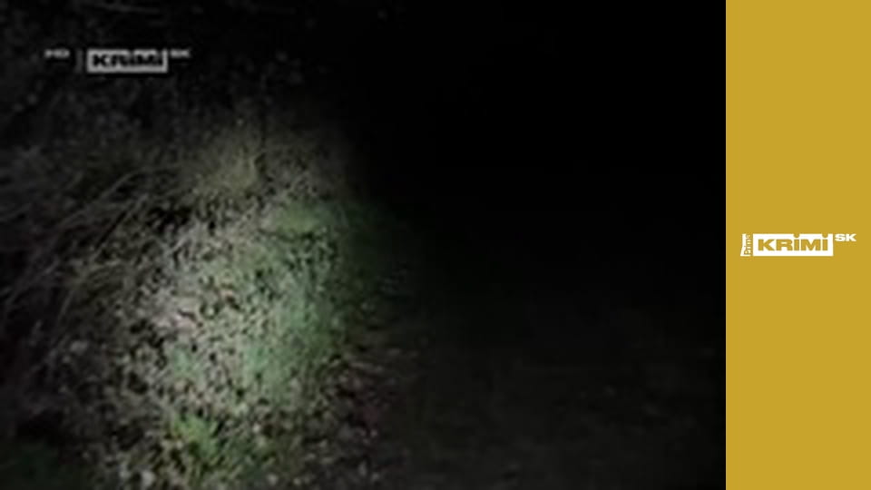 Nočné dobrodružstvo