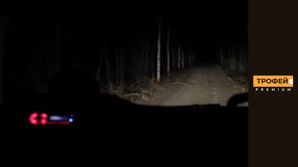 Trophy hunting. Episode 39