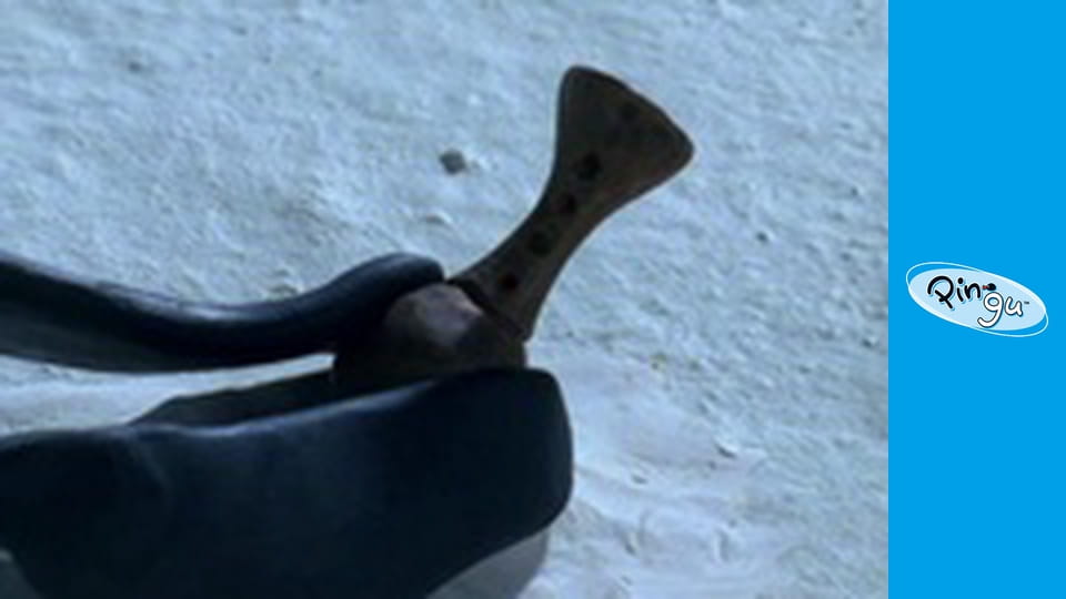 Pingu Сезон 6 Эпизод 16