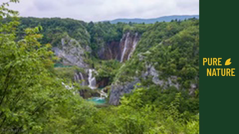 Plitvice Lakes: Crystal Waters of Croatian Lakes