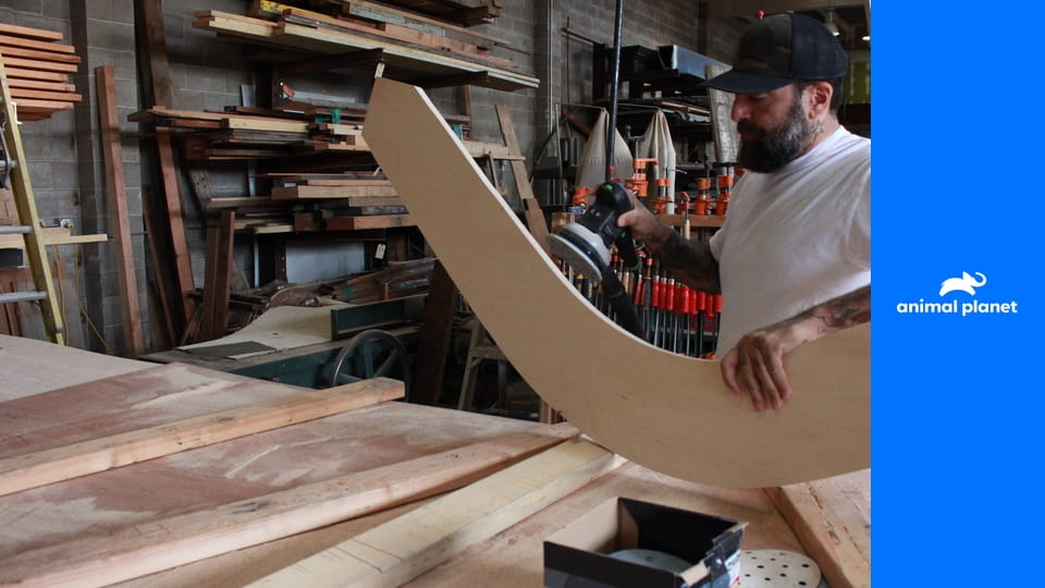 Дома для животных S2E6 - Скотный двор на заднем дворе