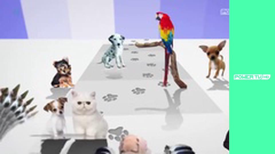 Zakręcone stworzonka z Internetu S1E6