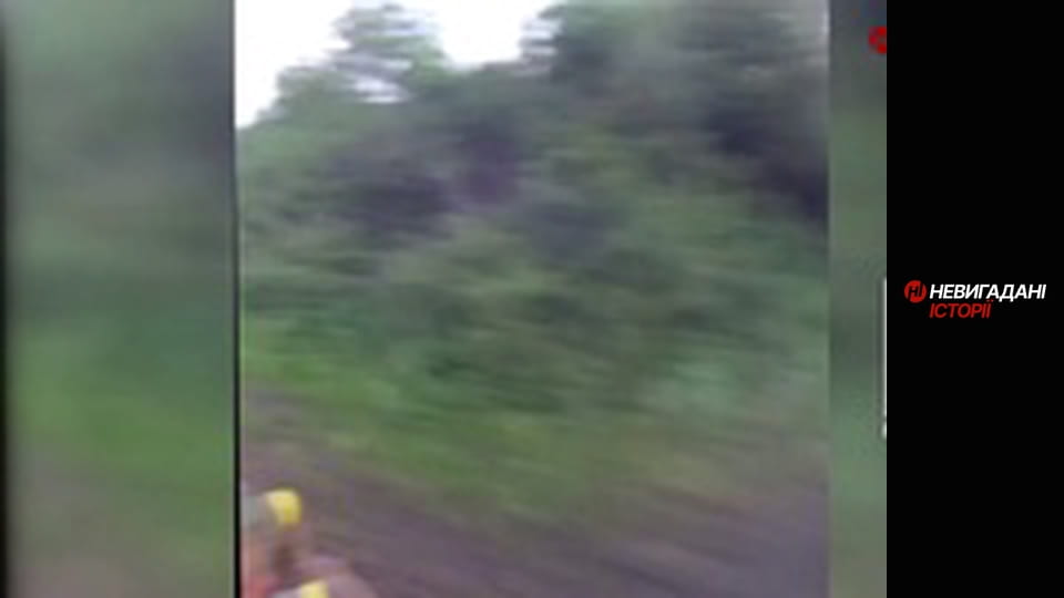 Невигадані історії.