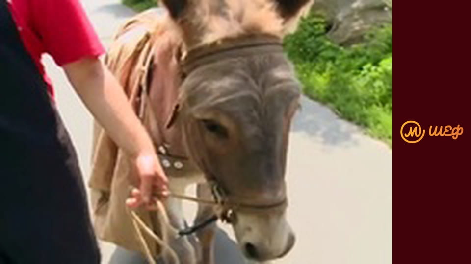 Сезон 8, Випуск 6, Частина 11