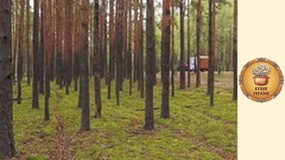 Блюдо чести Сезон 1 Эпизод 12 ч.1 - Запечённые вьюны