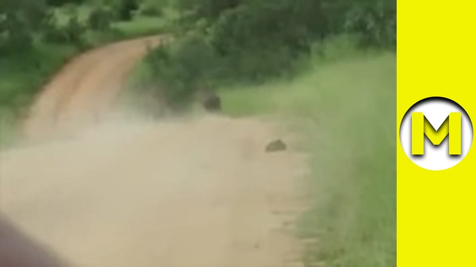 Max TV - сезон 1 - серія 92