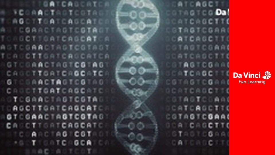 Пошук надлюдини - Наш код