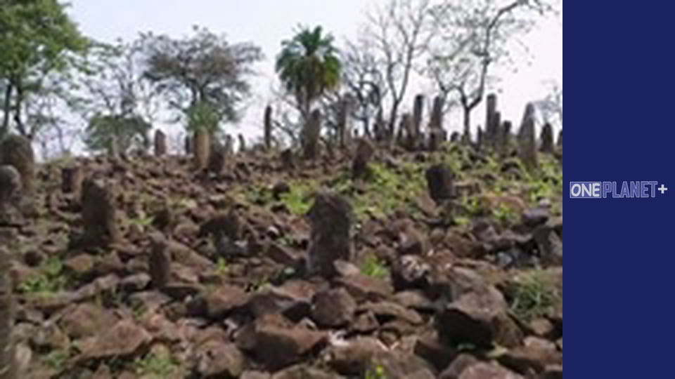 Подорож у Минуле, Випуск 7