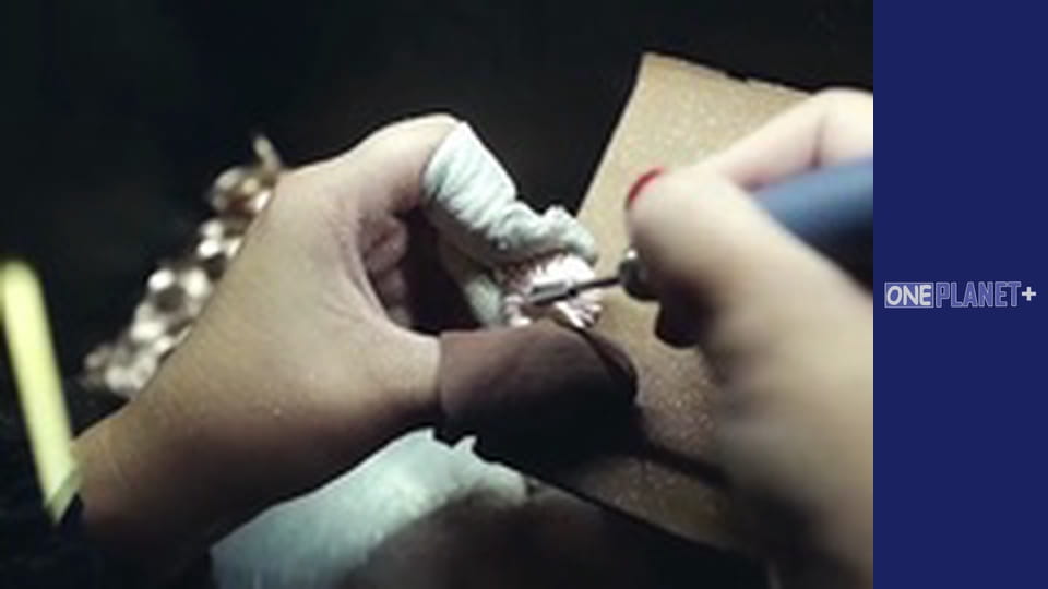 Елементи, Сезон 1, Випуск 2