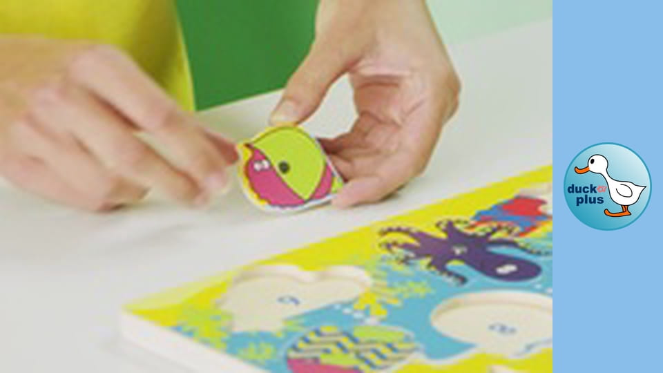 The World of Toys - Magnetic Fishes 1