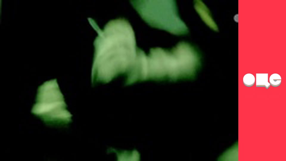 Т/с "CSI: Місце злочину - Нью-Йорк", 2 сезон, 19 с.