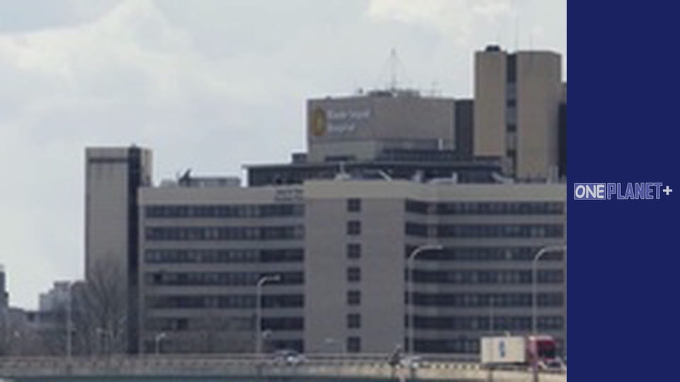 У пошуках знань. - серия 11