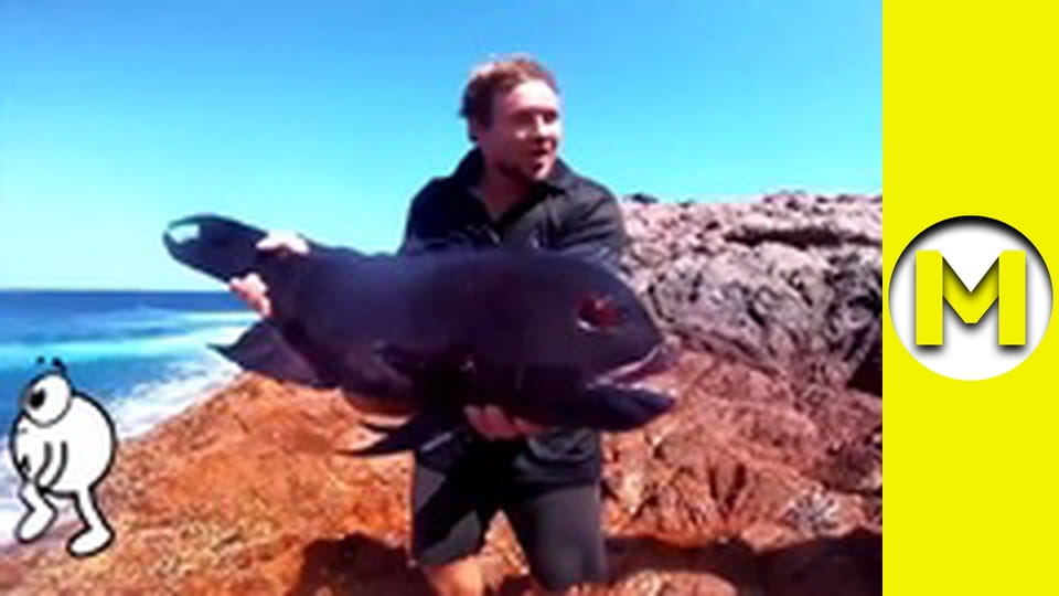 Max TV - сезон 2 - серія 3