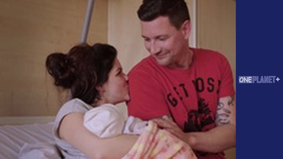 В поисках знаний. - cерия 25