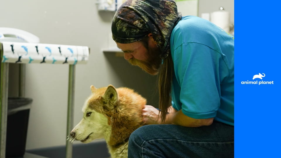 Dr. Jeff: Veterinář ze Skalnatých hor S3E4 - Na hraně