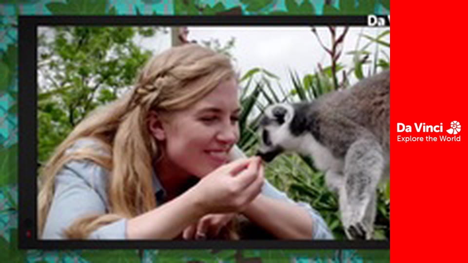 Do You Know? - Maddie The Zoo and You - Why do We Eat?