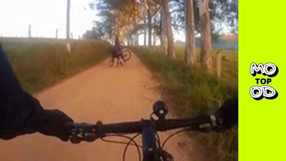 TopMood Сезон 4 Епізод 28