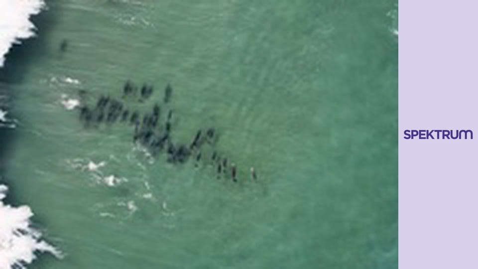 Afrika a magasból S1E8 - Mozambik