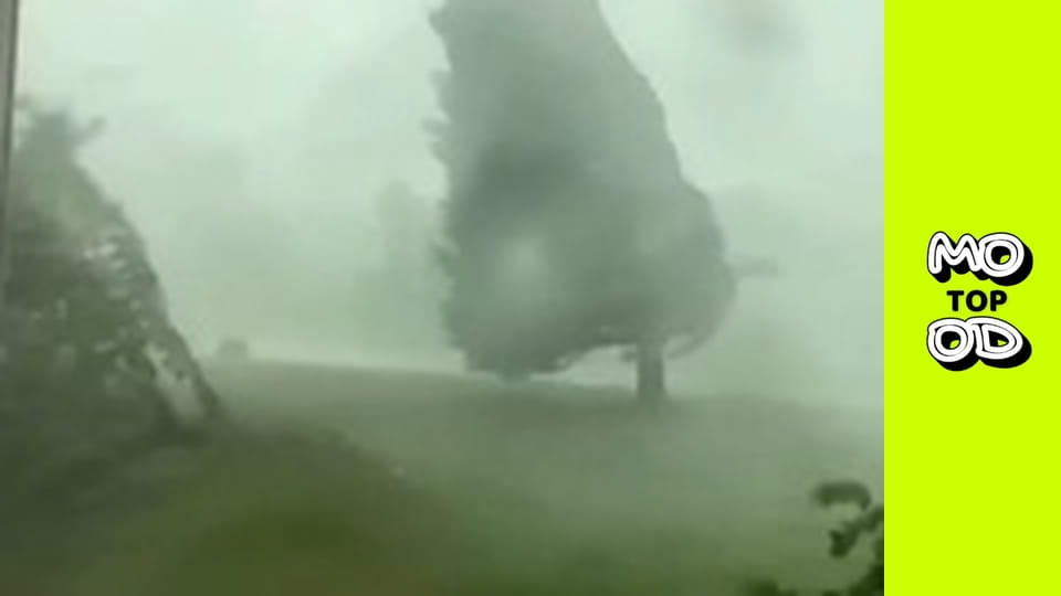 TopMood - Выпуск 4