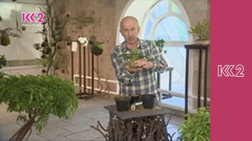 Шість соток S1E5