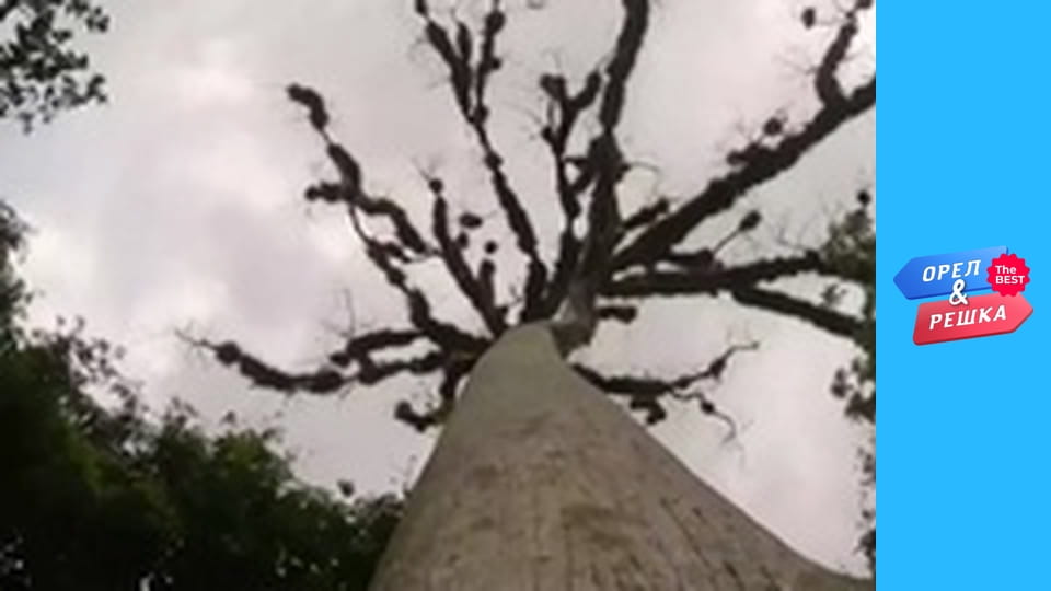 100 Dollars, Issue 121