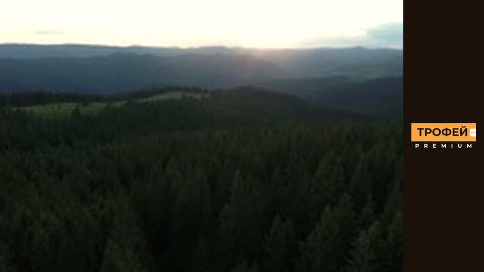 Шлях до Трофею. Серiя 36