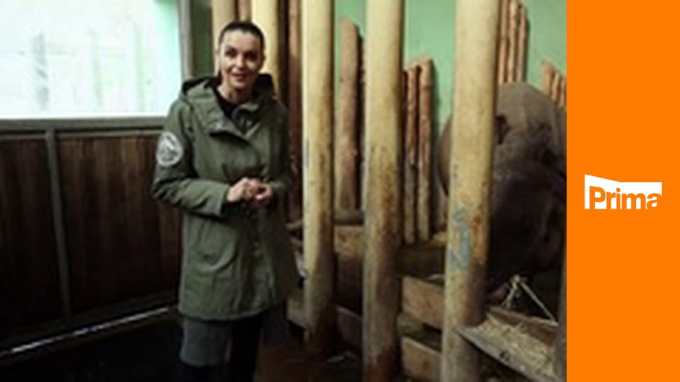 Jak se staví sen - extra