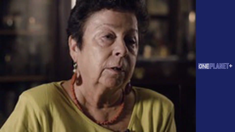 Episode 2, It's Christmas: The Taste of Christmas. Traditional Vienesse Baking