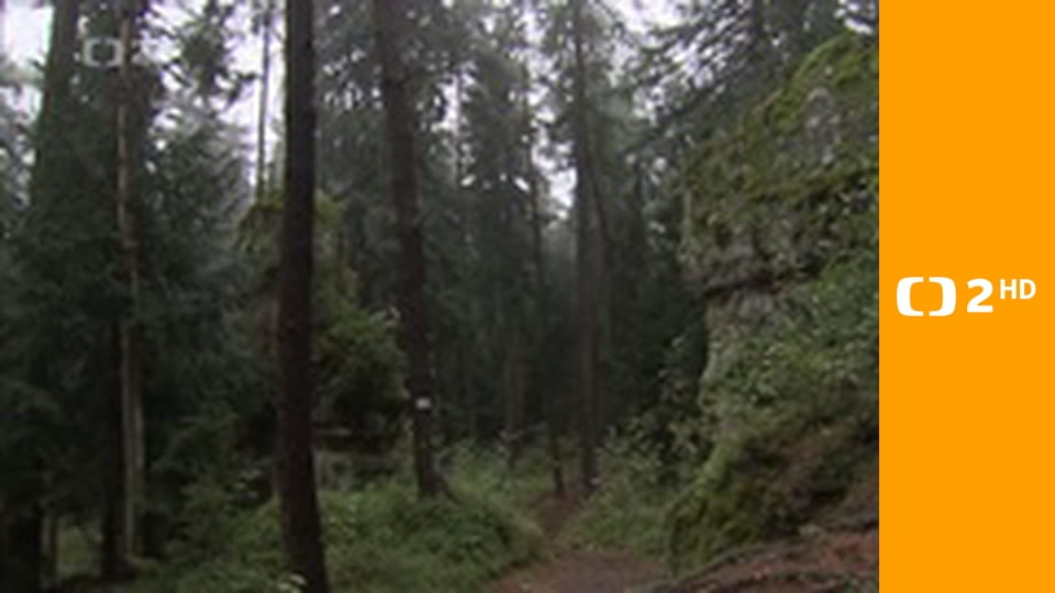 Ze ZOO do ZOO E12 - Olomouc